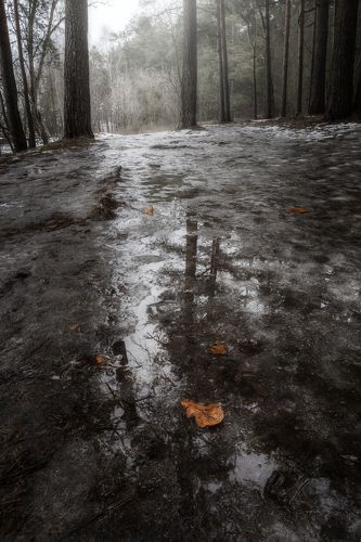 Грязная зима
