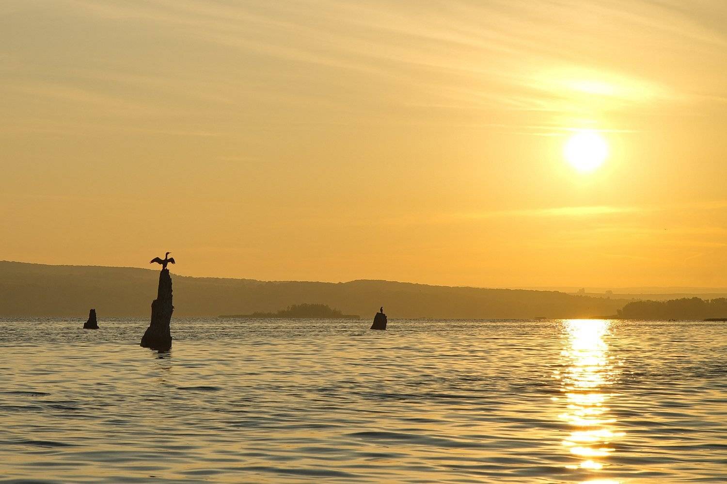 утро, рассвет, восход, волга, Дмитрий Михайлюк