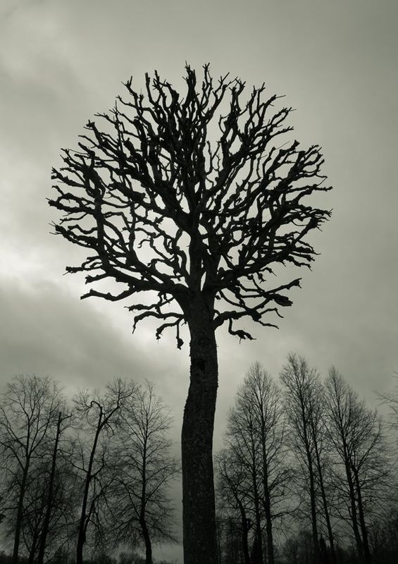 царское село, пушкин Другой фото превью