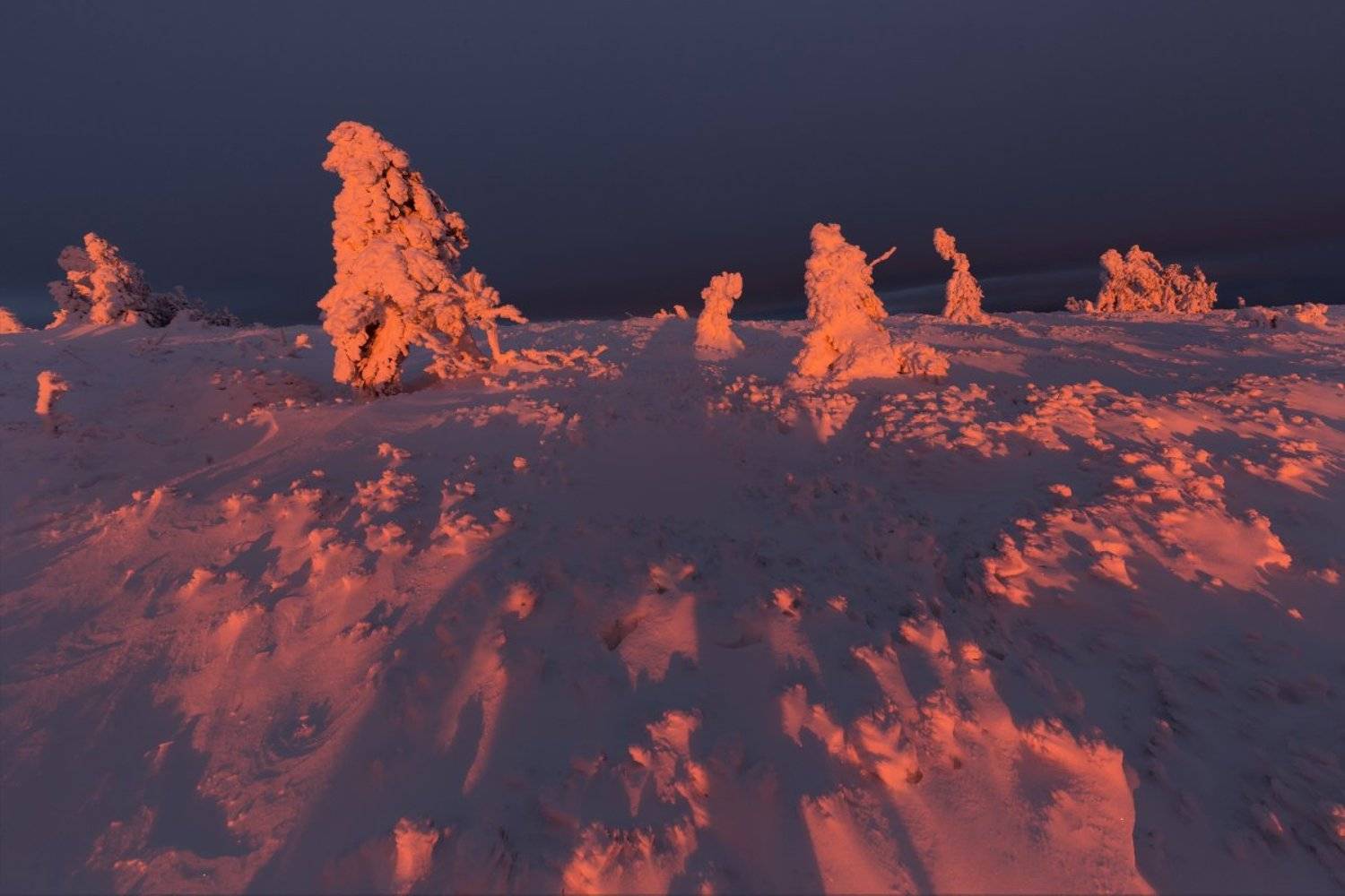 landscape, tree, sunrise, winter, Petr Fiala