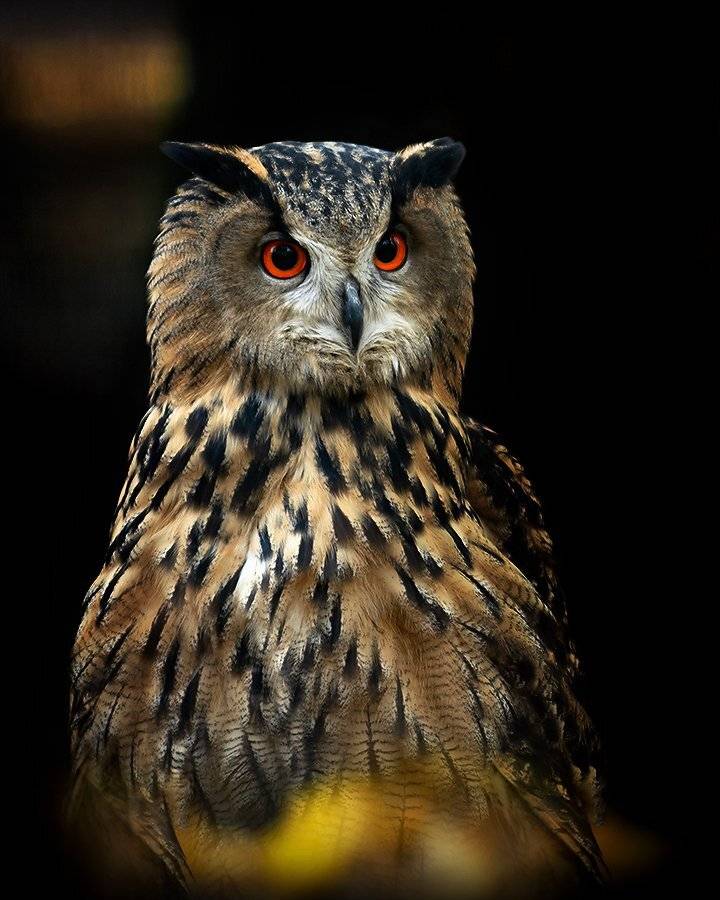 , Валерий Субачев