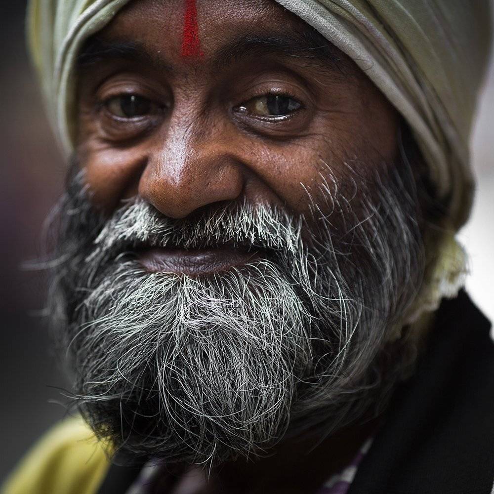 , Алексей Терентьев