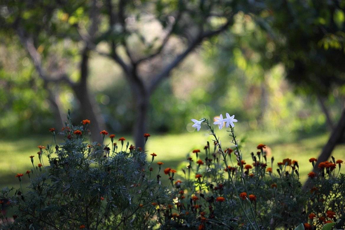 , Сергей Фудиненко