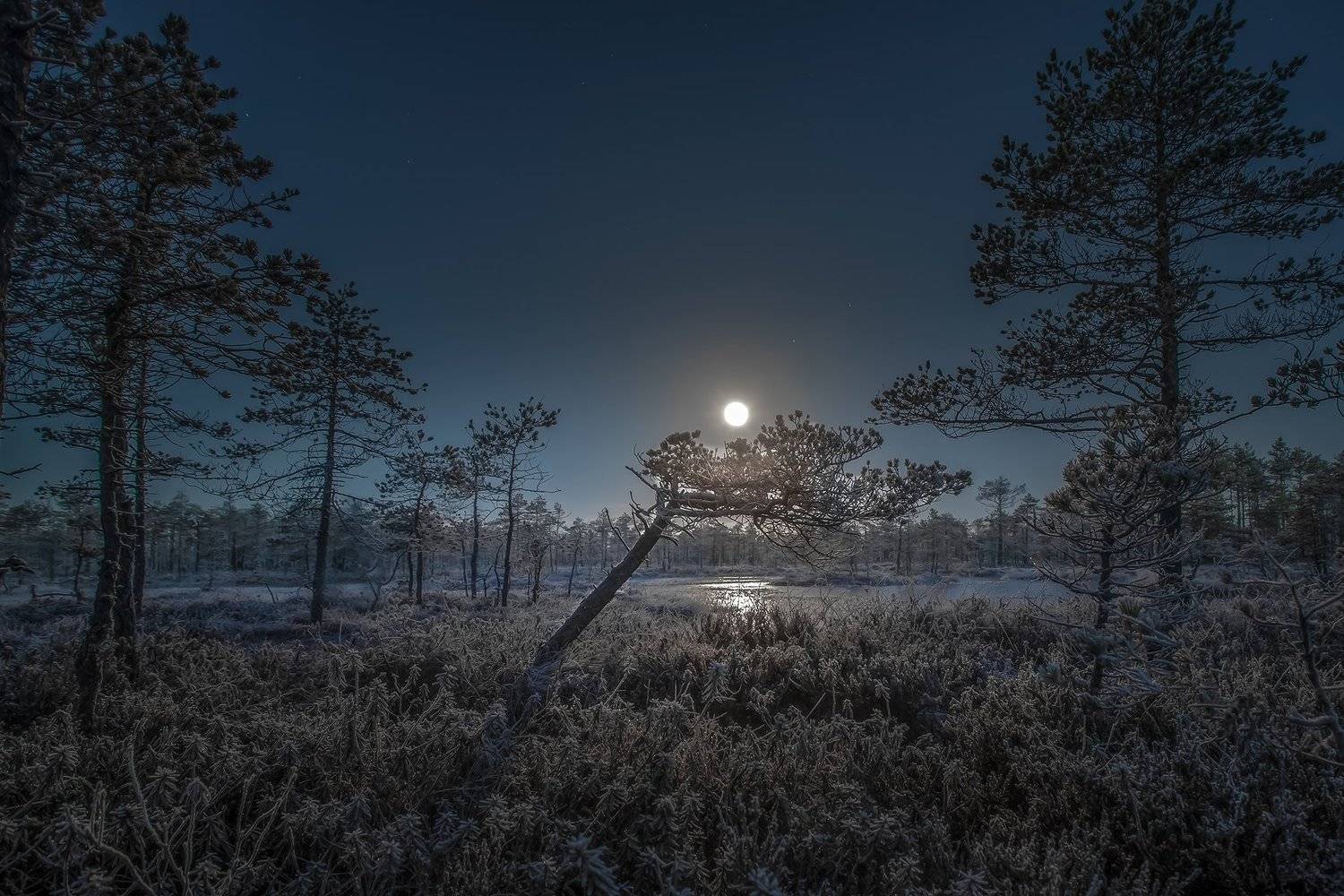 , Елена Маковоз