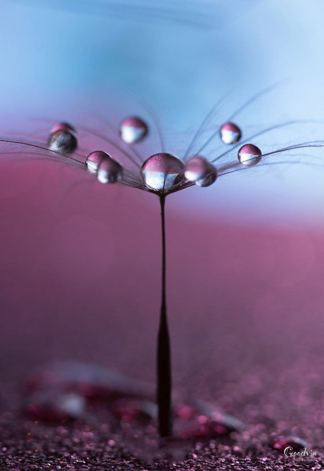 , Людмила Гудина