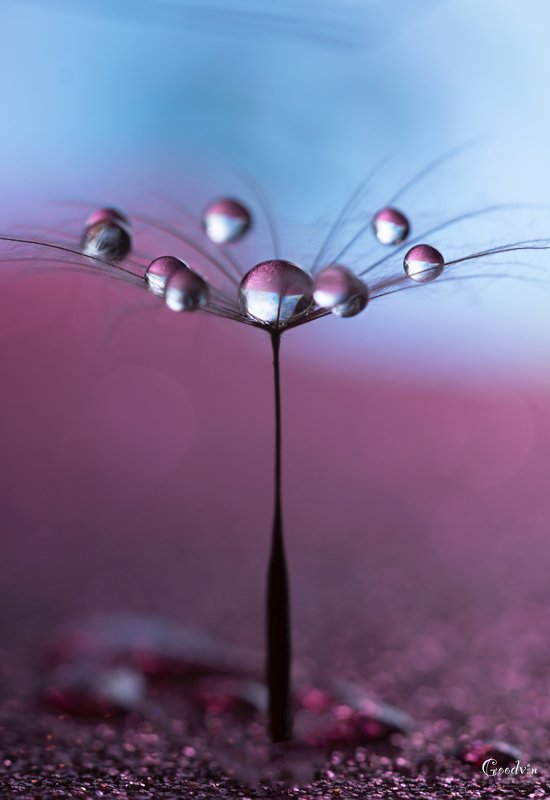 Балеринка фото превью