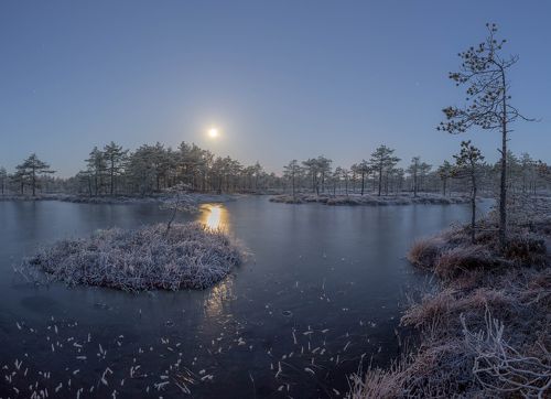 Остров в лунном свете