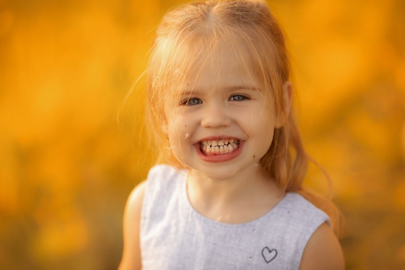 Одуванчик фото превью