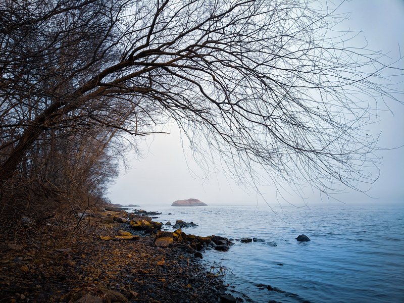 пейзаж,река,берег,хортица,landscapes,зима,релакс,тишина, Январский этюд 2020 фото превью