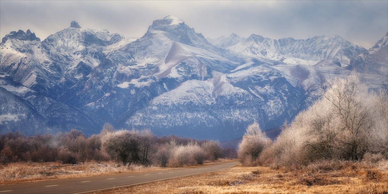 , Алексей Богорянов