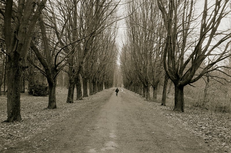 **** фото превью