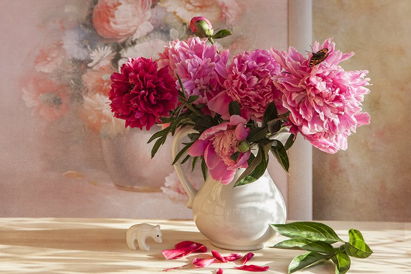 Пионы фото превью