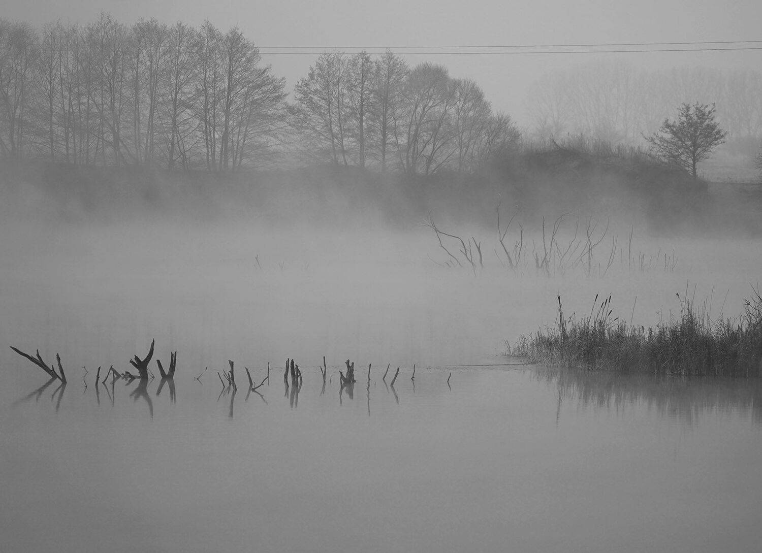 , Красимир Георгиев