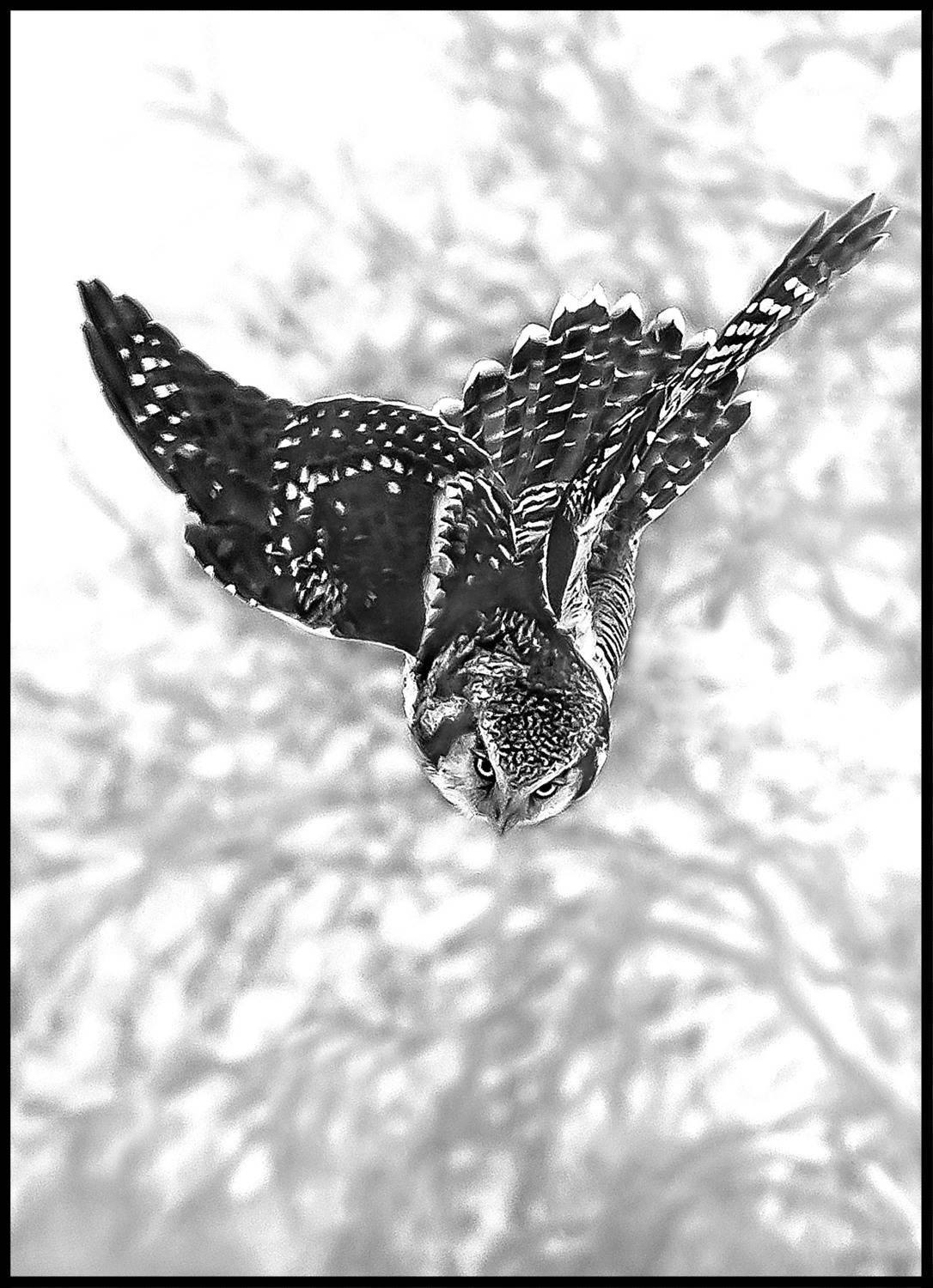 , Михаил Белоусов