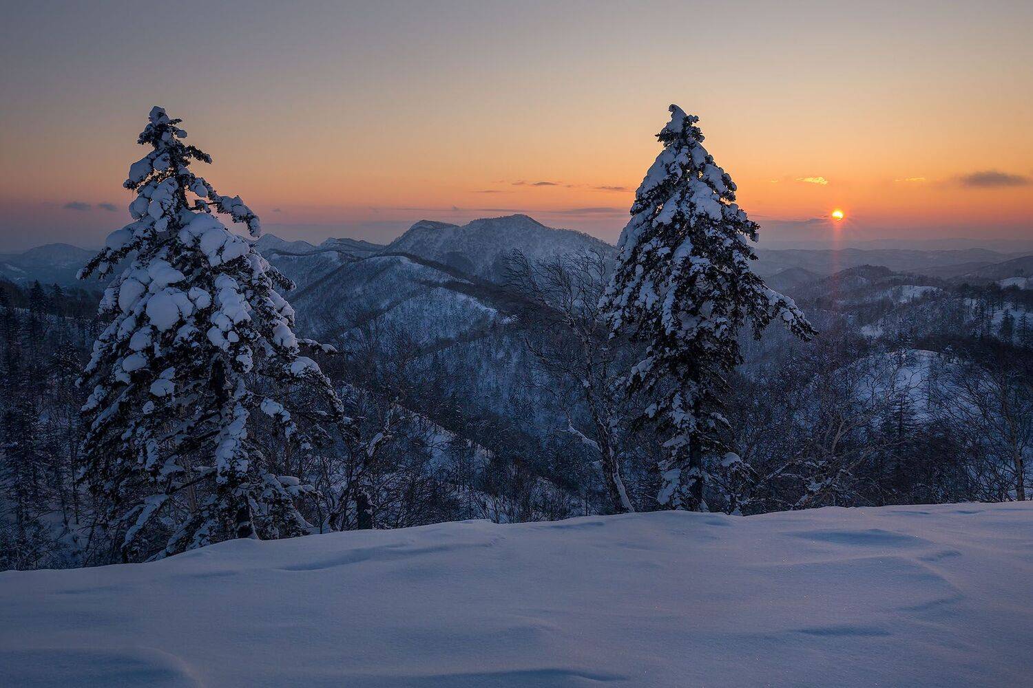 , Артем Удодов