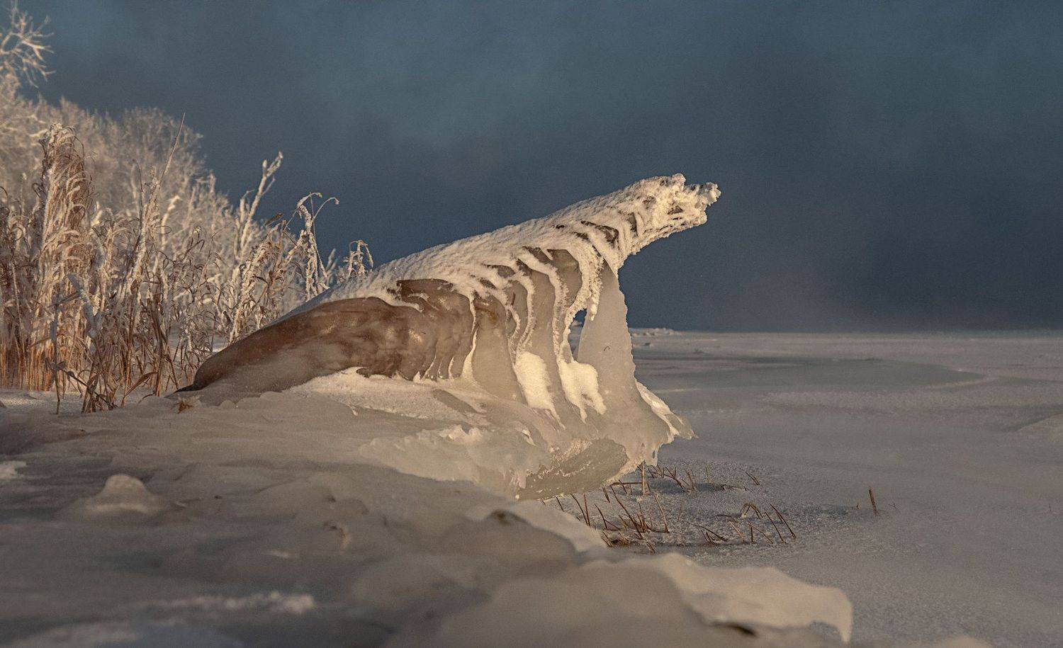 мороз, иней, енисей, холод., Марина Фомина