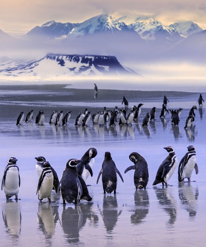 Бродяги фото превью