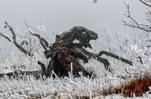 Показалось..