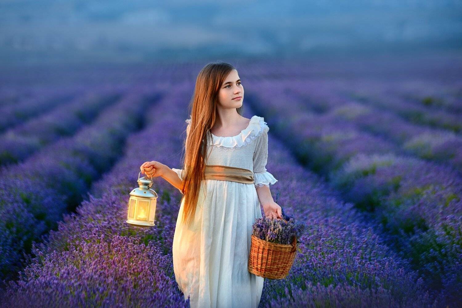 лаванда, фонарик, вечер, закат, Надежда Заручевская