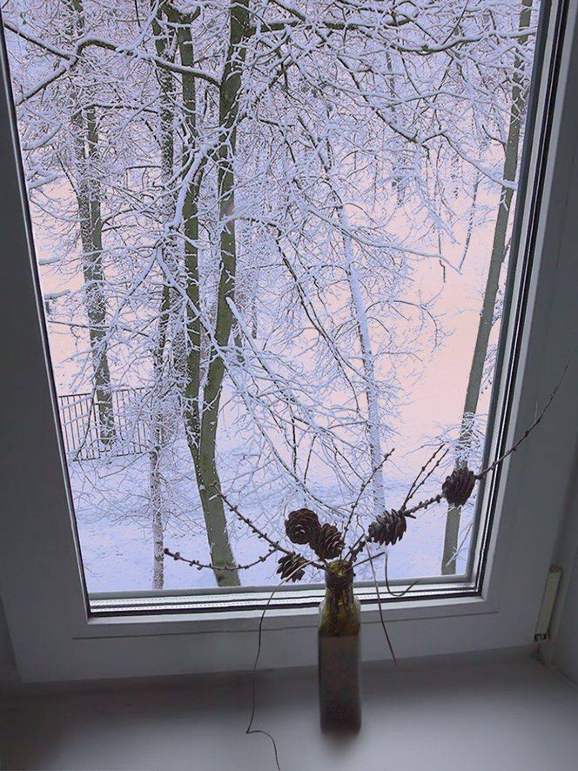 , T. Bondarenko