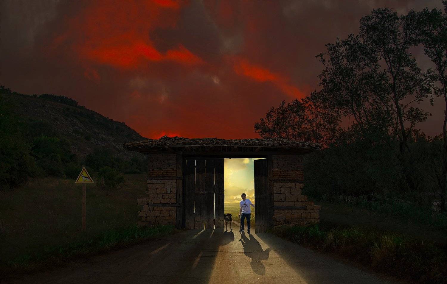 ceclii, nikon d3400, Tsvetan Ganev