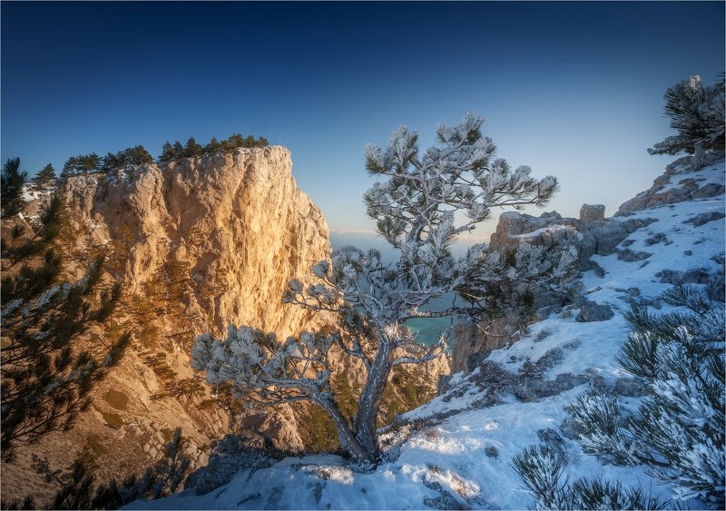 Контрасты Ай-Петри. фото превью