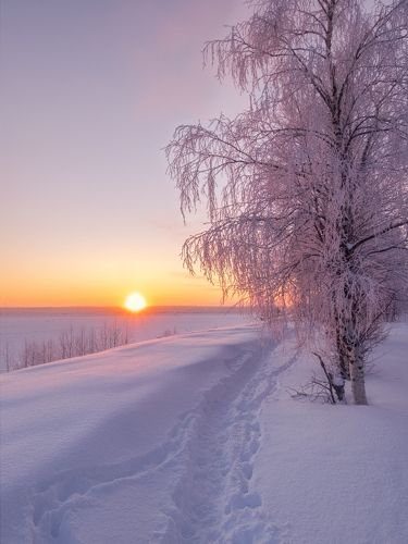 Морозное утро на Печоре