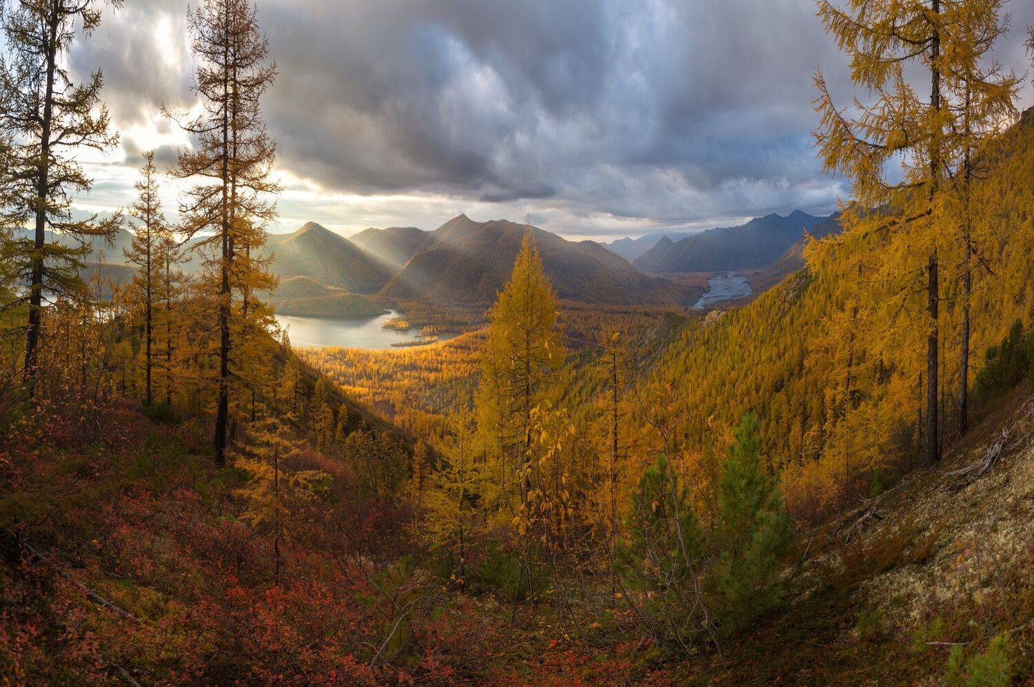 , Павел Глушков