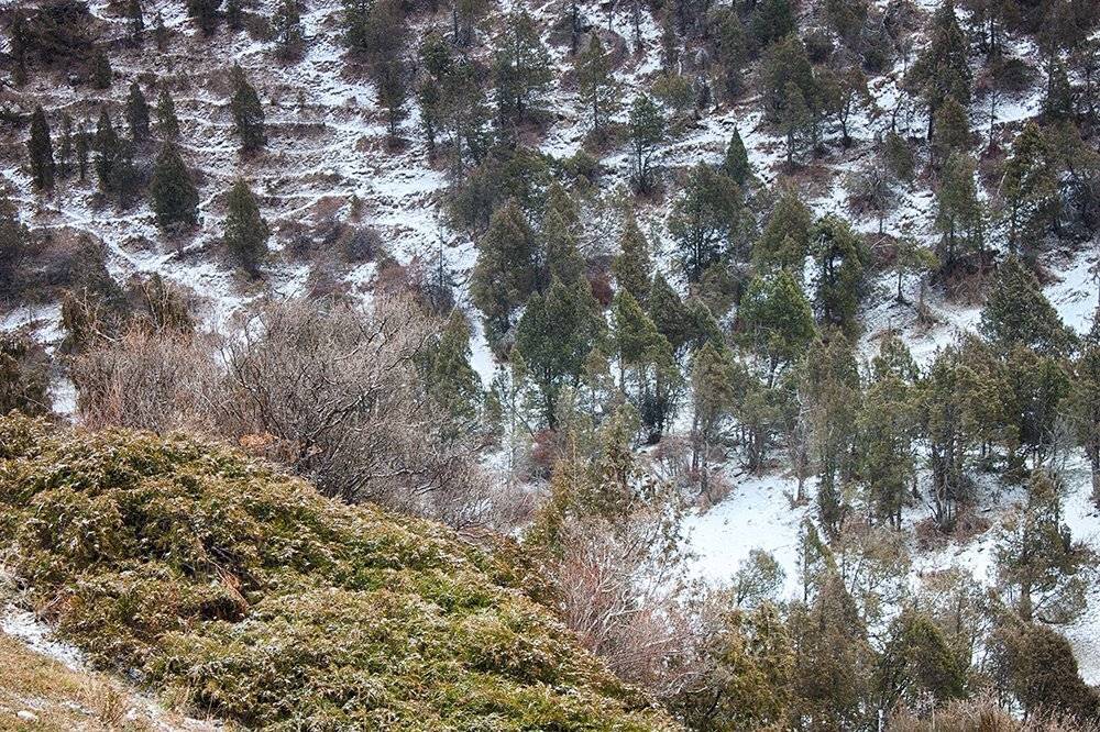 кыргызстан, горы, Элина Магалимова