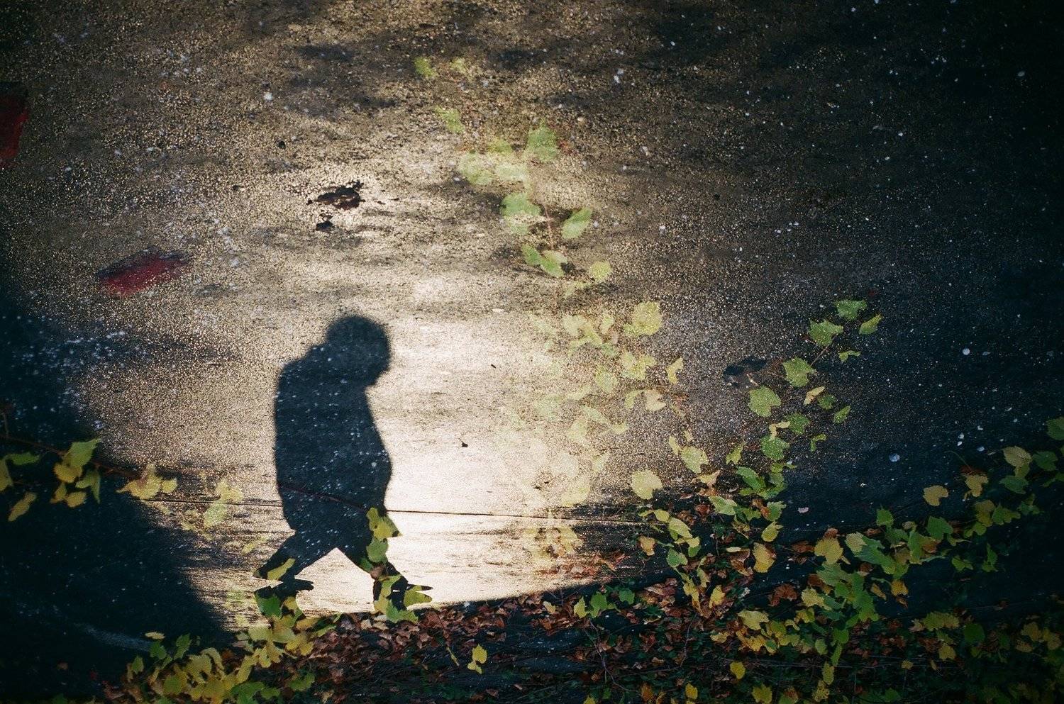 street, Borna Bursac