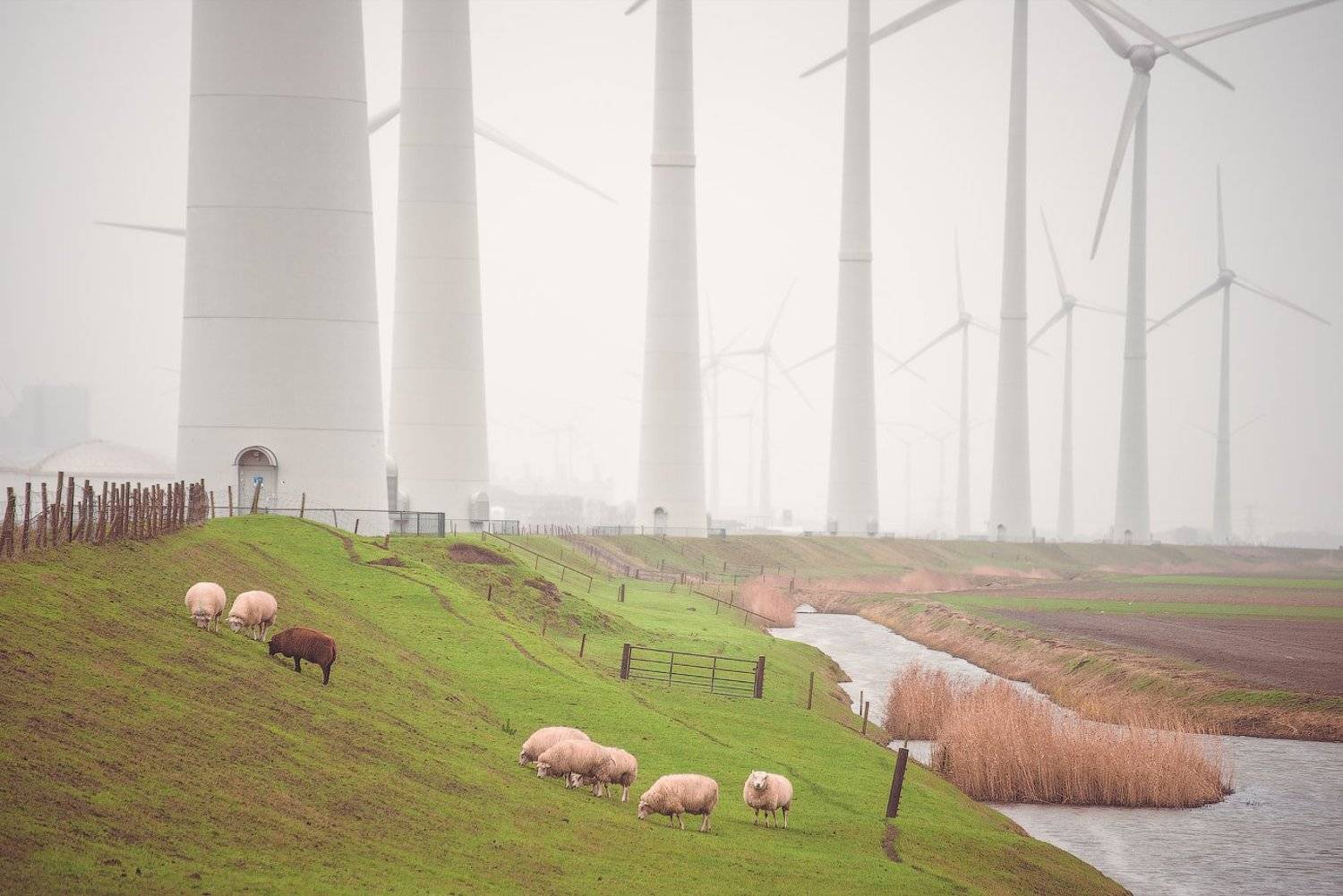 пейзаж, нидерланды,  Дмитрий