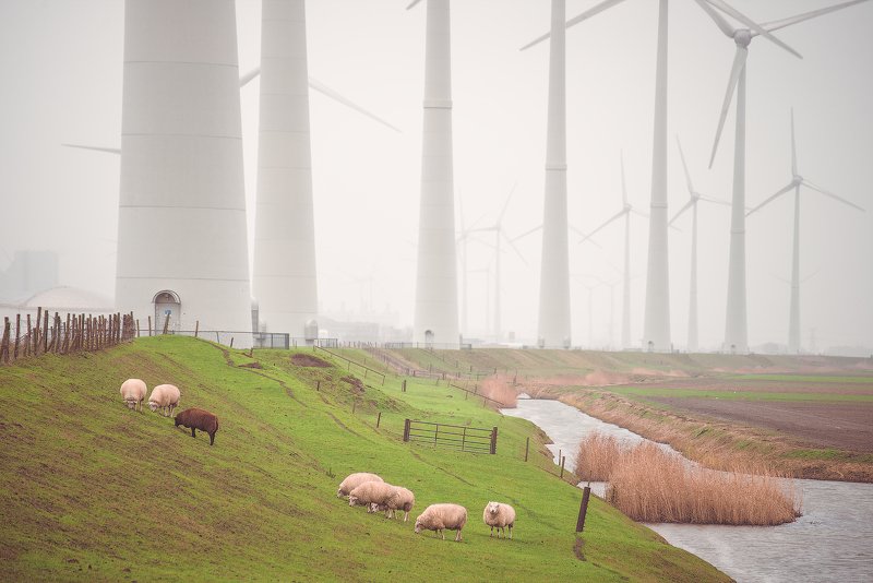 пейзаж, нидерланды Урбанизм фото превью
