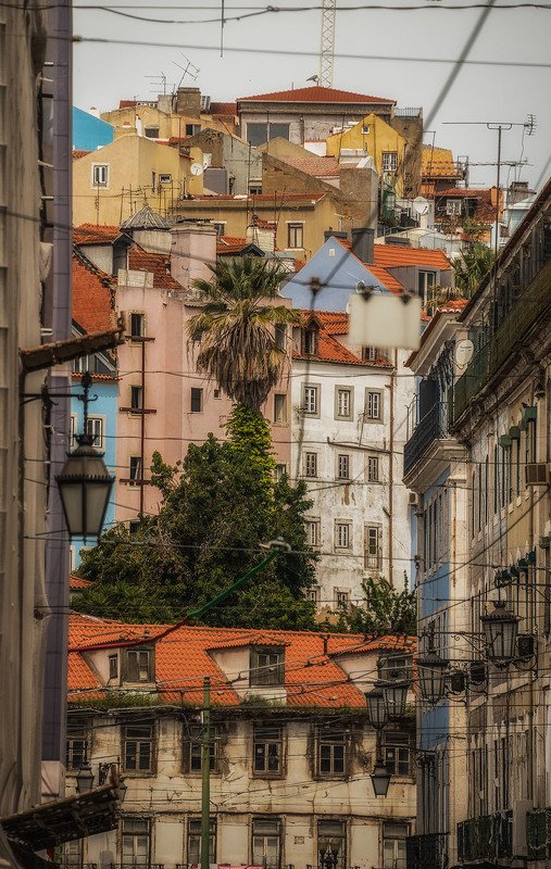 лиссабон, lisbon городская паутина фото превью