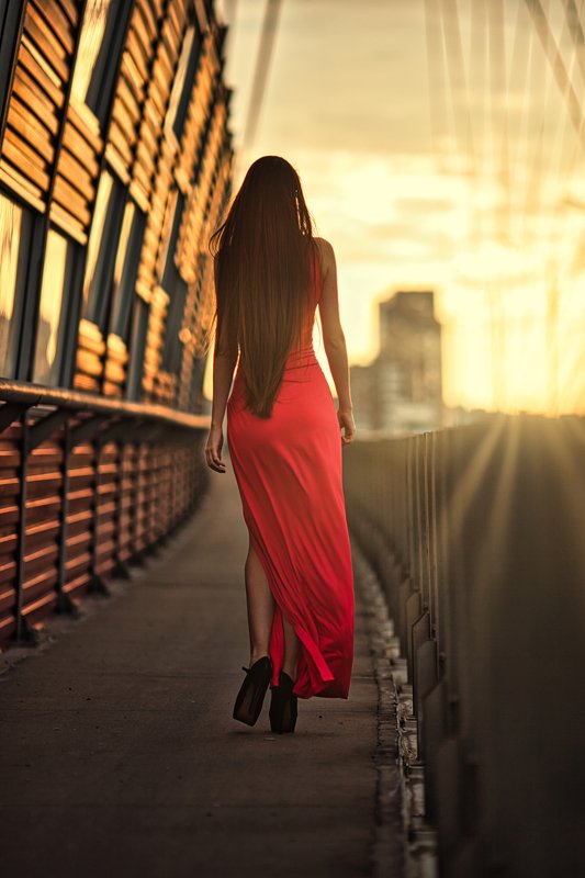 По направлению к солнцу вдоль кукурузы фото превью