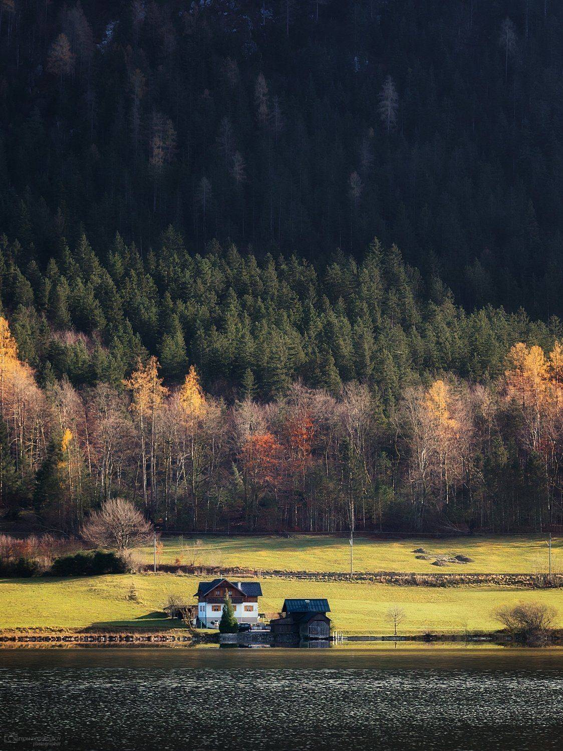 , Антон Кошетаров