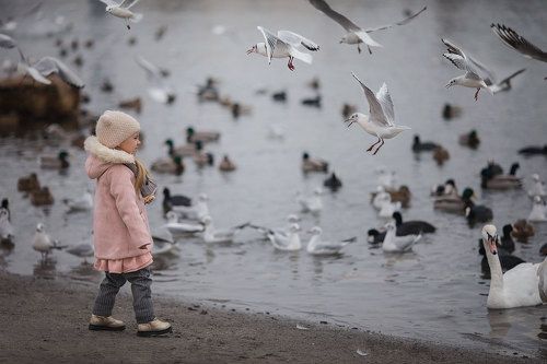 Лебединое озеро