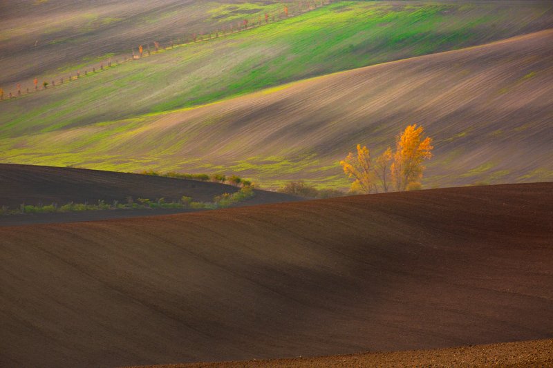 Moravian hills фото превью