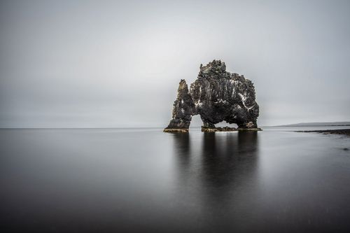 слон на льду