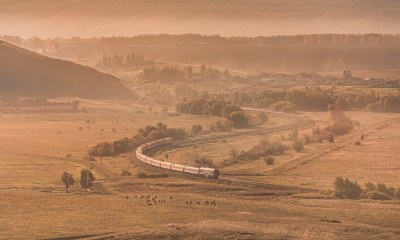 поезд, утро, рассвет, поле, железная дорога, лето, горы, дымка, кандры, skrylov, skrylov_official *** фото превью