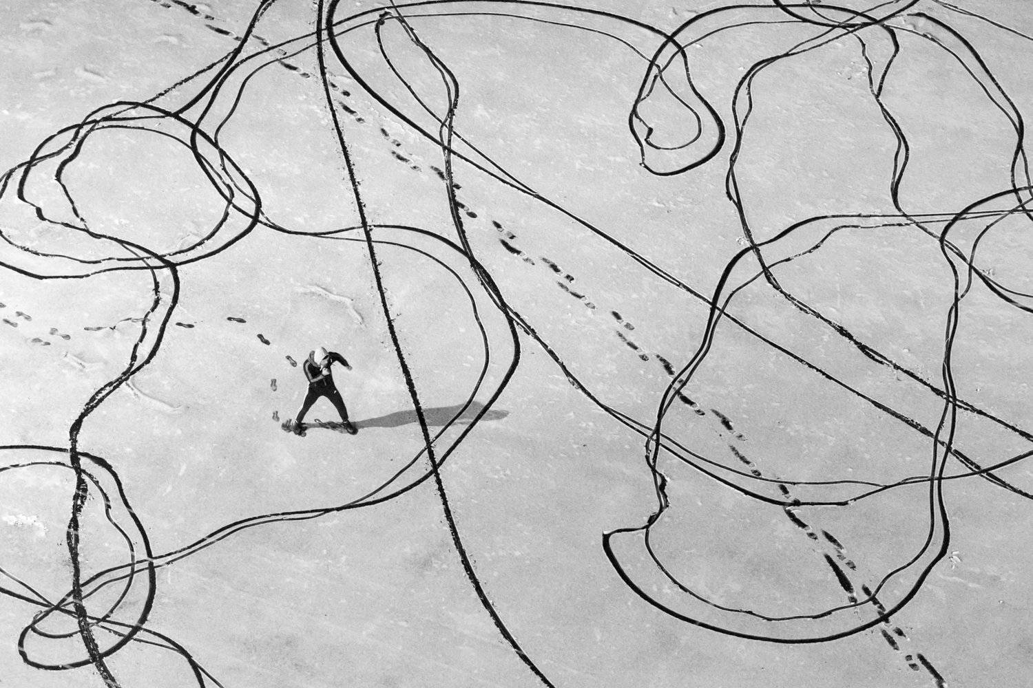 , Алексей Федотов