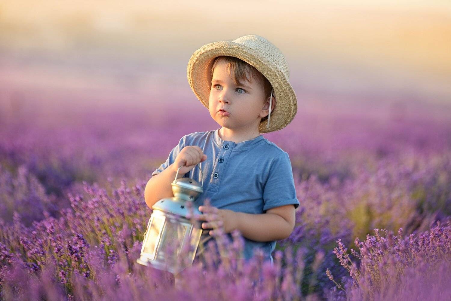 лаванда, фонарик, вечер, закат, Надежда Заручевская