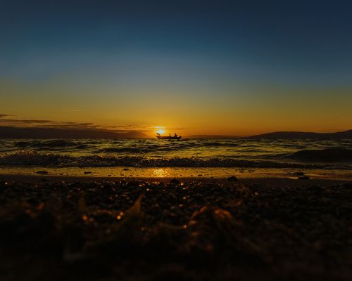fisherman and his dog