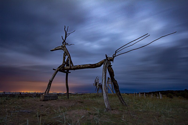 ночное фото, арт-объект, архангельская область, Белое море, Тайбола Олень, устремленный в море фото превью