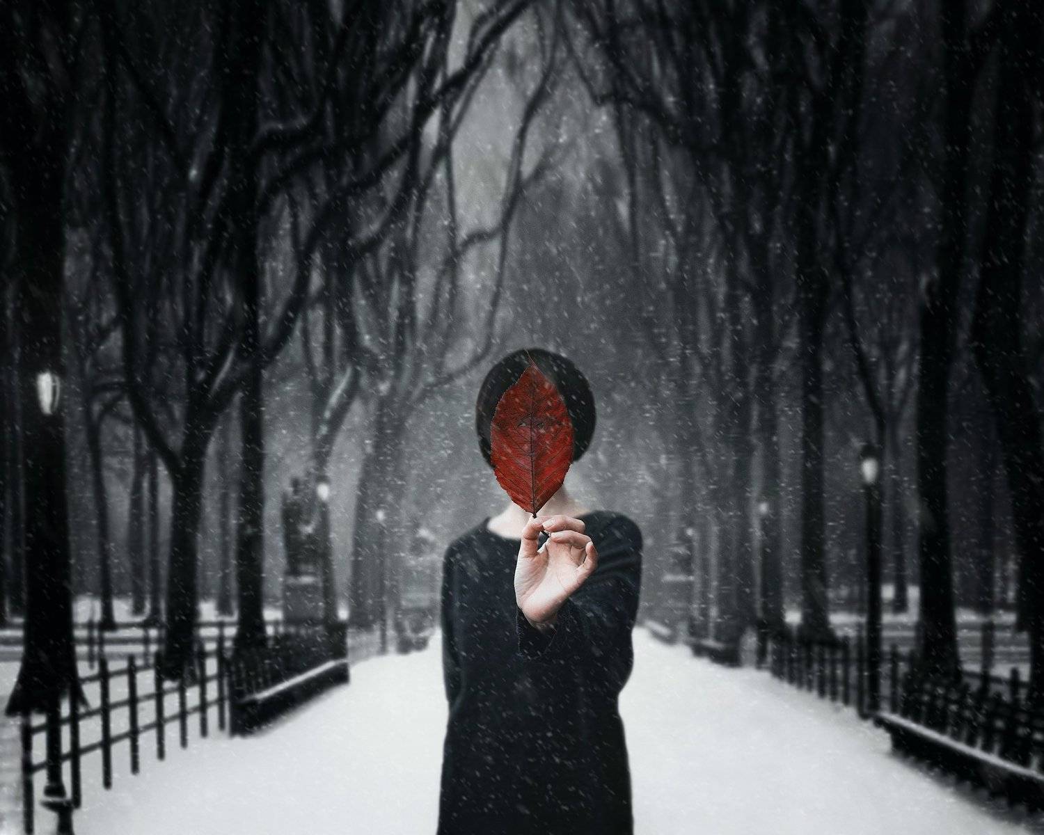 conceptual photography, conceptual, conceptualism, Сергей Фетт