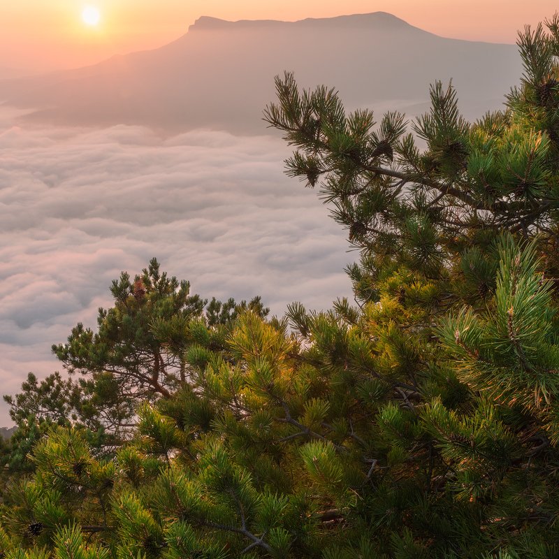 Золотой свет фото превью