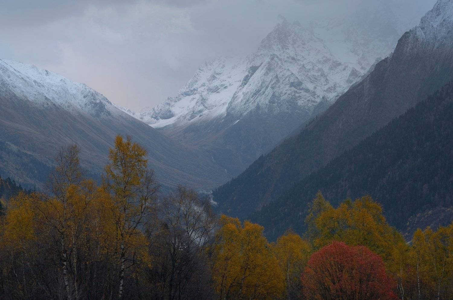 горы кавказ осень рассвет домбай, Александр Жарников