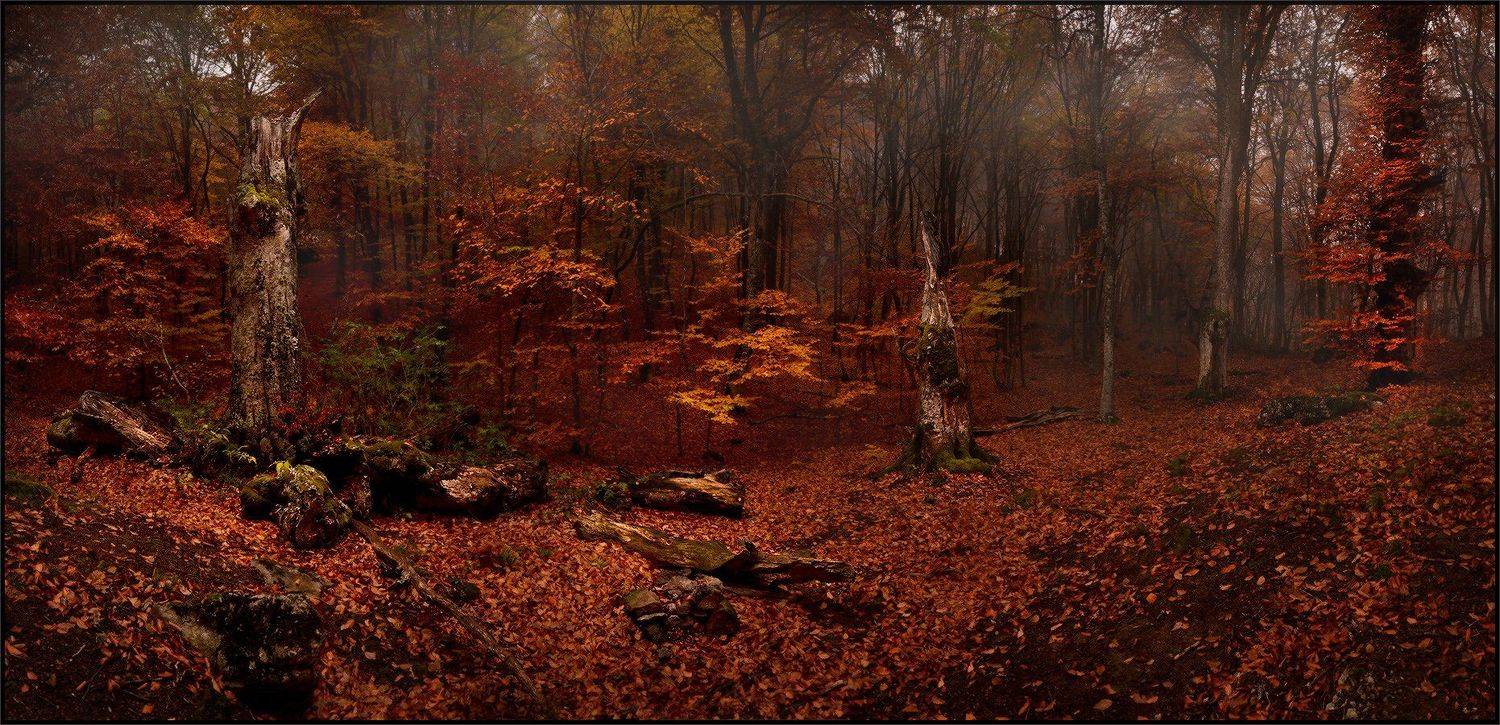 , Владимир Метцгер