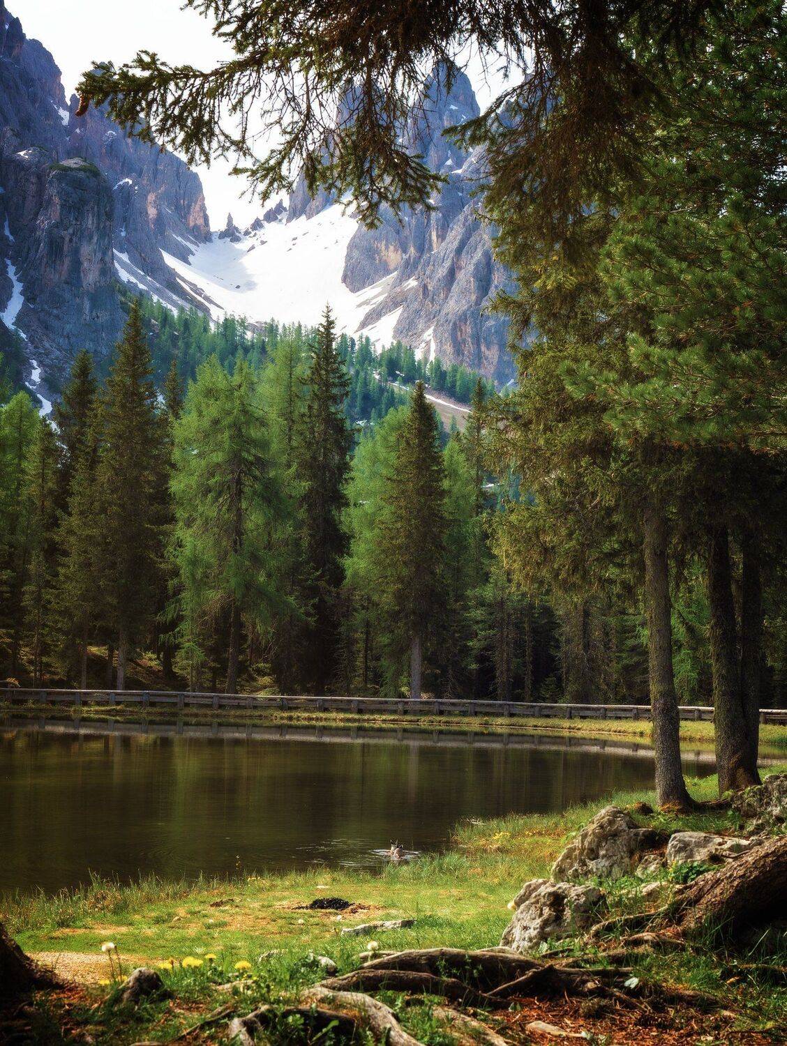 dolomites, mood, silence, rocks, cluouds, alps, nature, beautiful, stunning, landscape, wood, lake, Сергей Быков