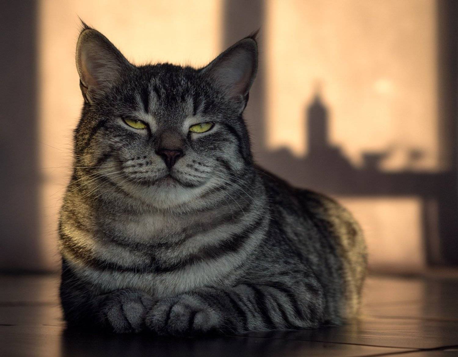 , Баранов Олег