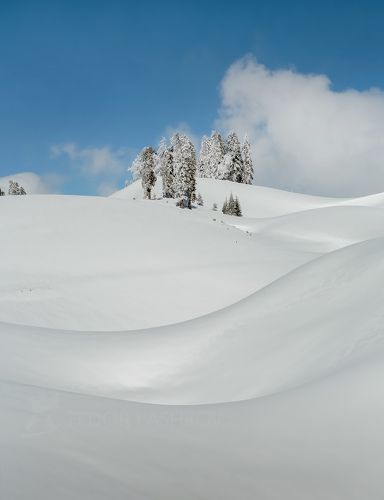 Снежная графика